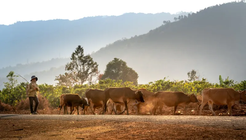 Your Records Are Your Returns: Why Data Discipline Separates Elite Herds from Average Ones